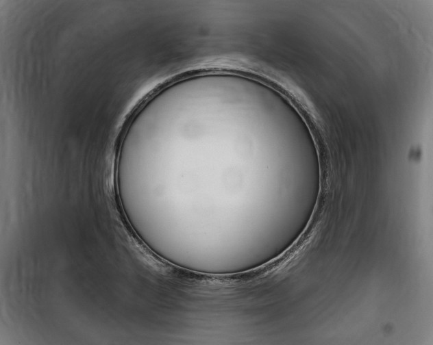 X0000100861224200806200829