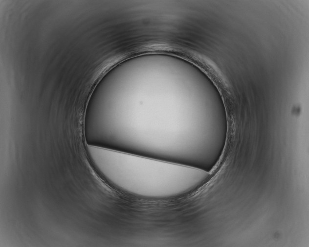 X0000100861225200806200829