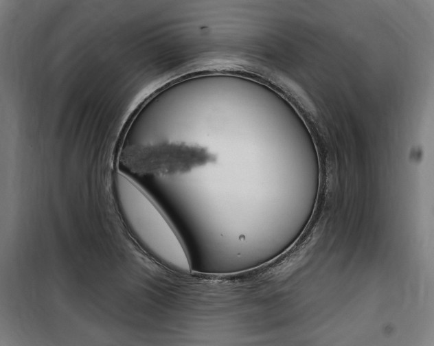 X0000100861226200806200829