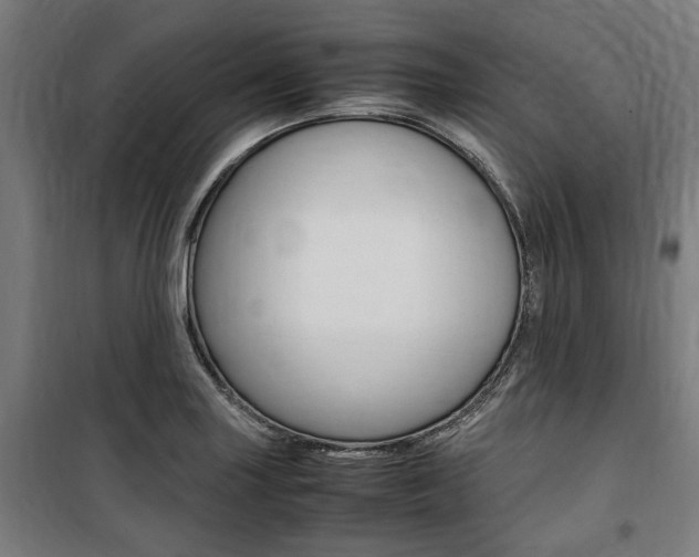 X0000100861227200806200829