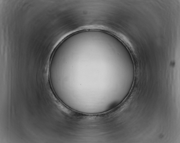 X0000100861228200806200829