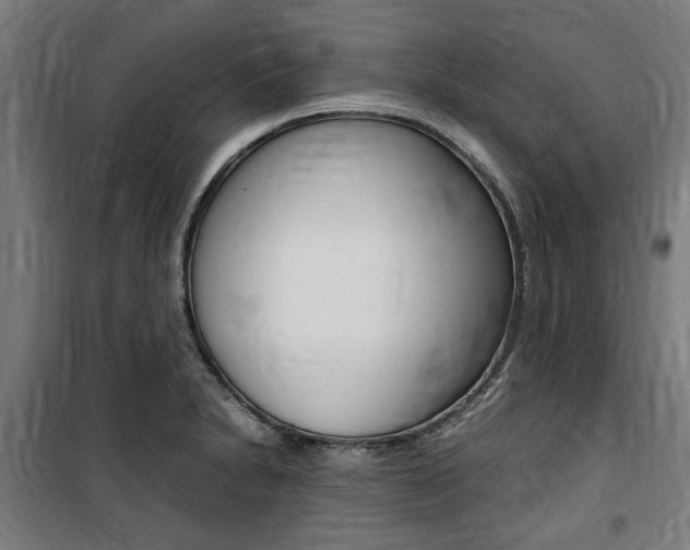 X0000100861230200806200830