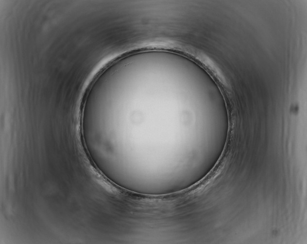 X0000100861232200806200830