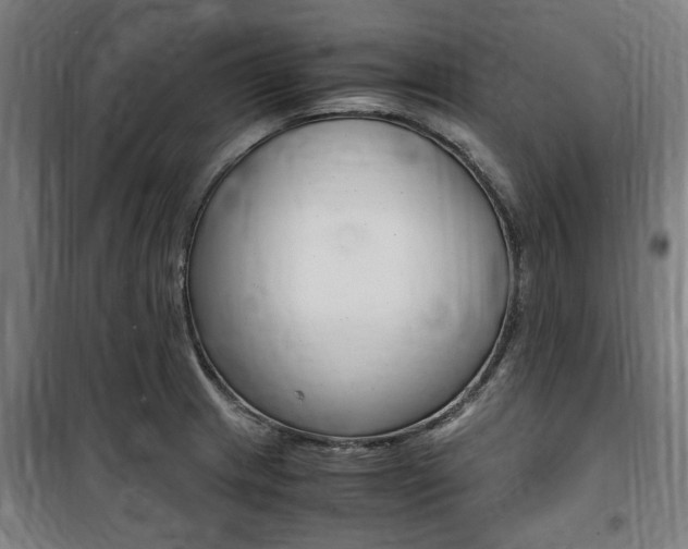 X0000100861233200806200830