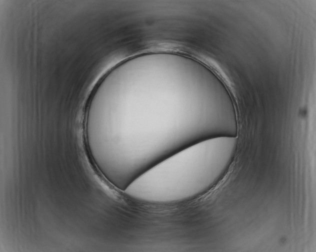 X0000100861235200806200830