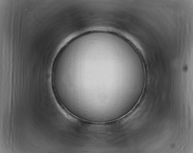 X0000100861237200806200830