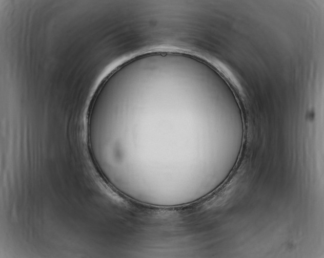 X0000100861238200806200830