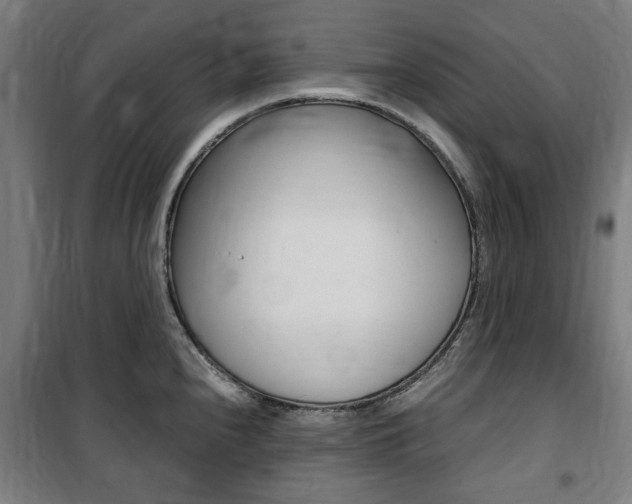 X0000100861240200806200830