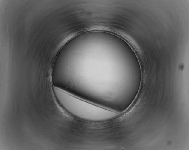 X0000100861241200806200830