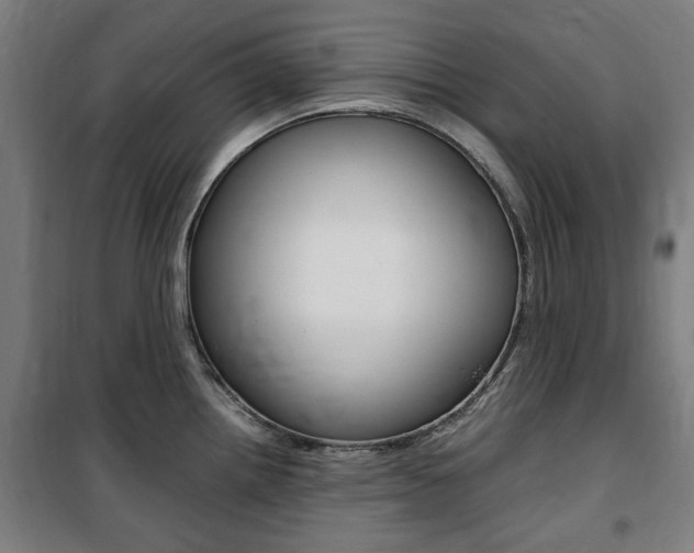 X0000100861242200806200830
