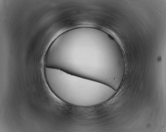 X0000100861243200806200830