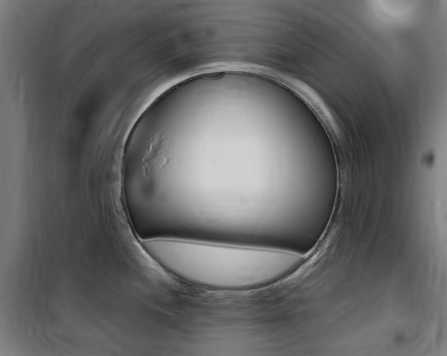 X0000100861244200806200830