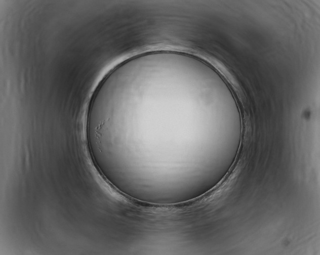 X0000100861246200806200830