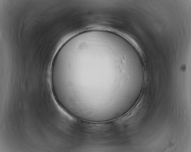 X0000100861247200806200830