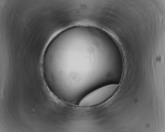 X0000100861248200806200830