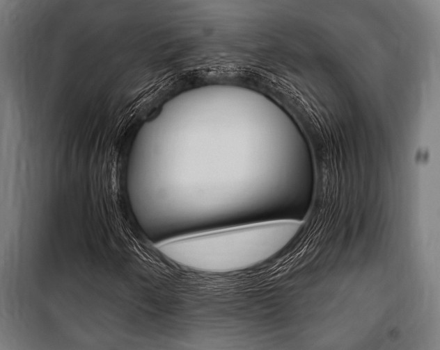 X0000100861250200806200829