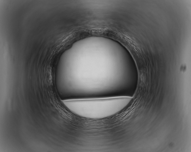 X0000100861252200806200829