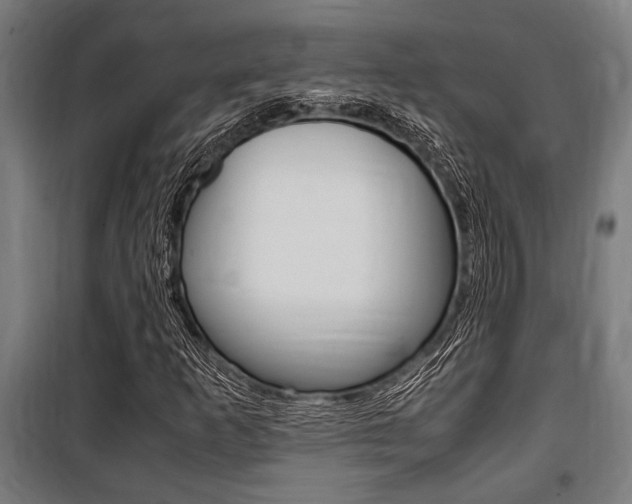 X0000100861253200806200829