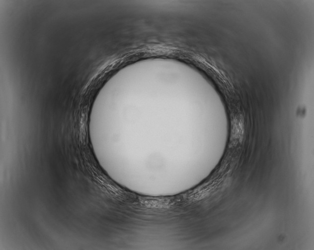 X0000100861254200806200829