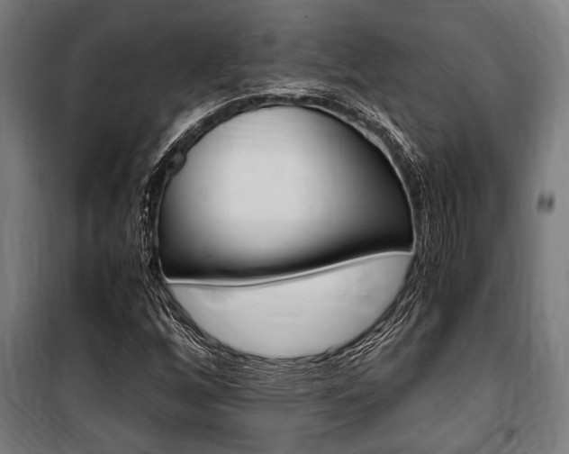 X0000100861256200806200829