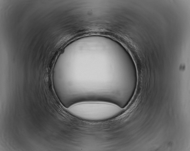 X0000100861257200806200829