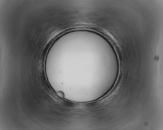 X0000100861259200806200829