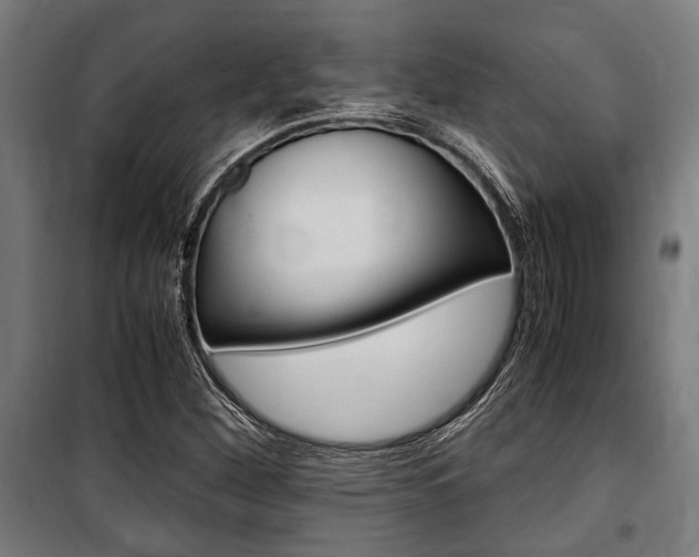 X0000100861260200806200829