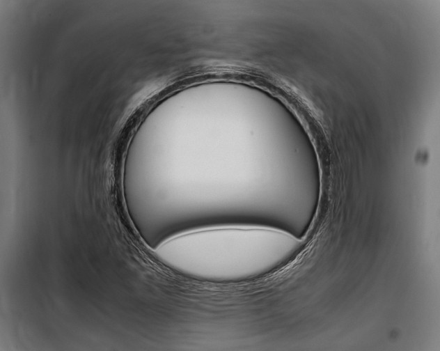 X0000100861261200806200829