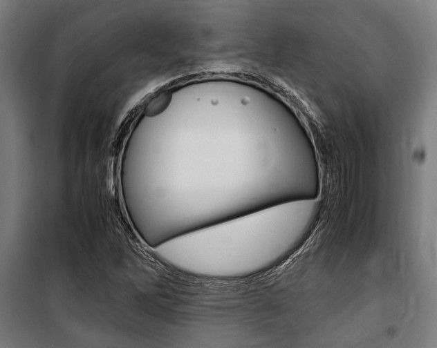 X0000100861262200806200829