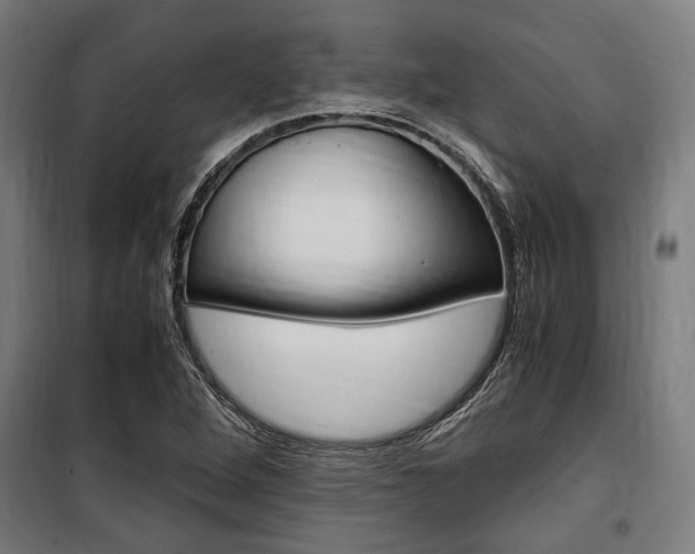 X0000100861264200806200829