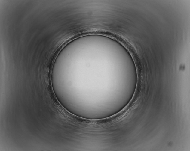 X0000100861265200806200829
