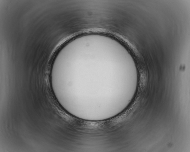 X0000100861266200806200829
