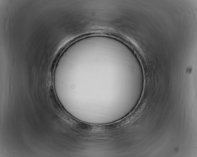 X0000100861267200806200829