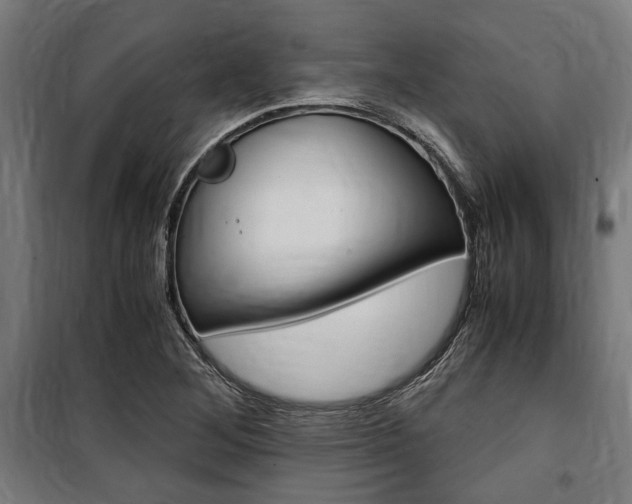 X0000100861268200806200829