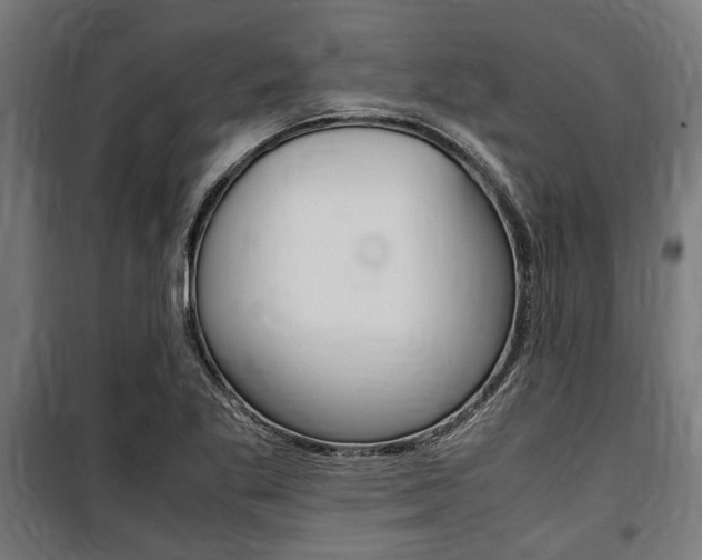 X0000100861269200806200829