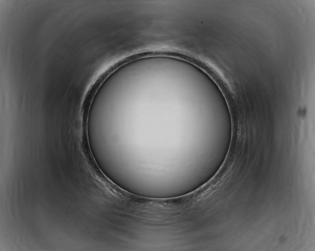 X0000100861270200806200829