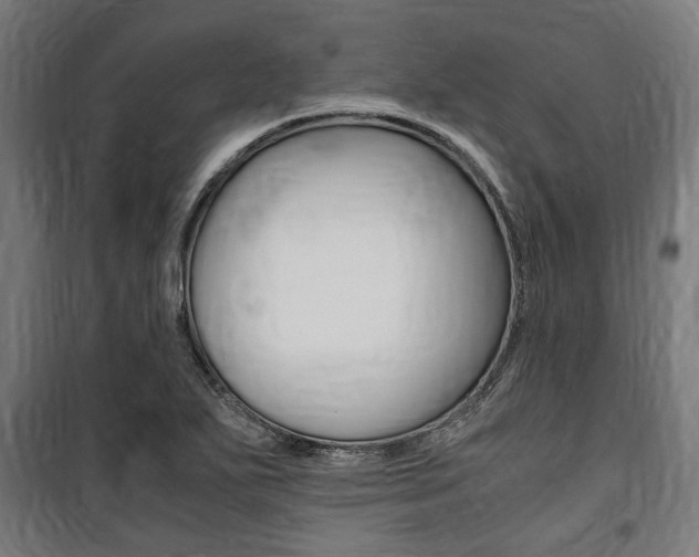 X0000100861271200806200829