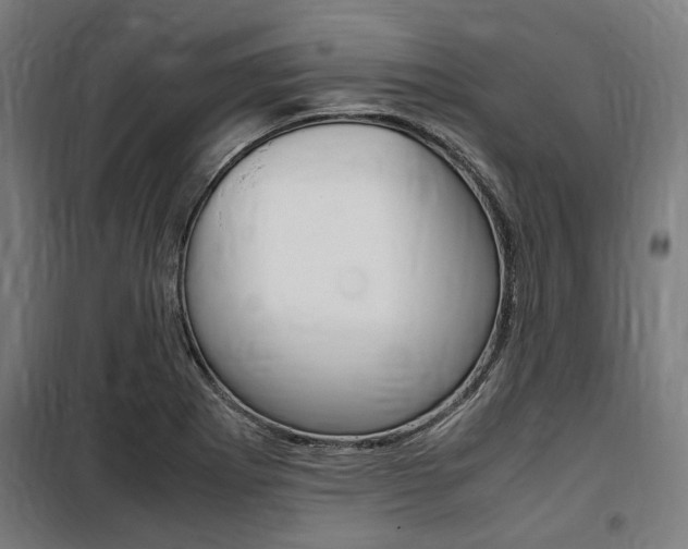 X0000100861273200806200829