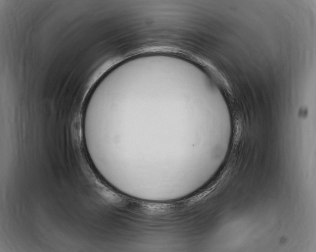 X0000100861274200806200829