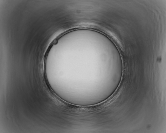 X0000100861275200806200829