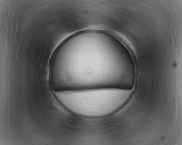 X0000100861276200806200829