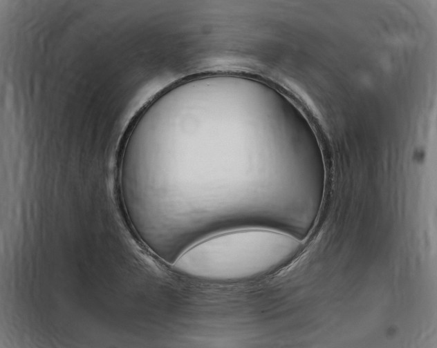 X0000100861277200806200829