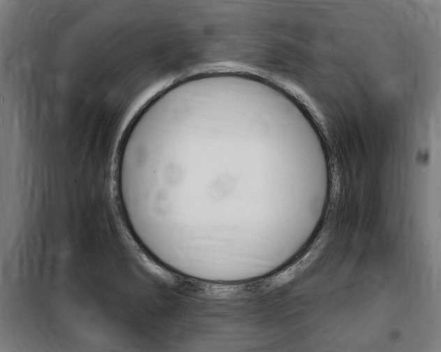X0000100861278200806200829