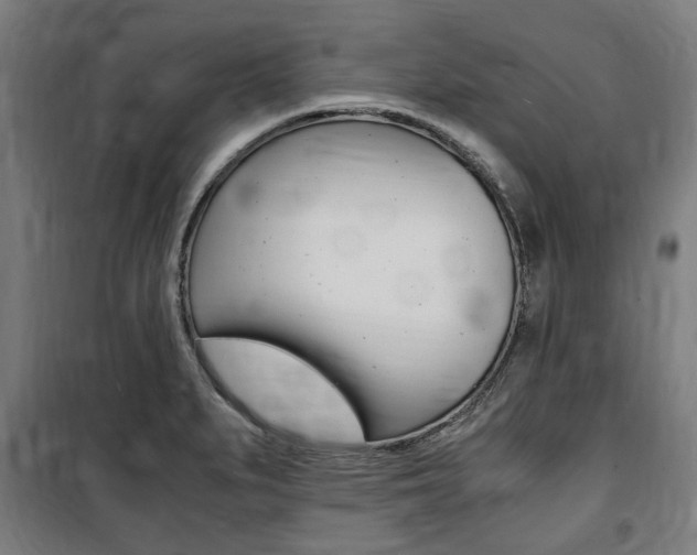 X0000100861279200806200828