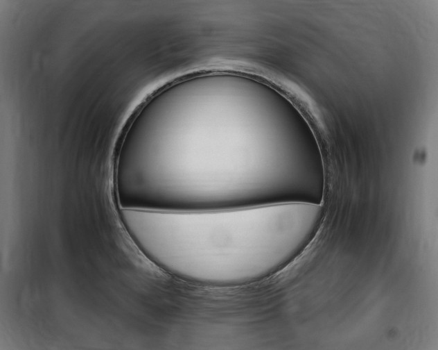 X0000100861280200806200828