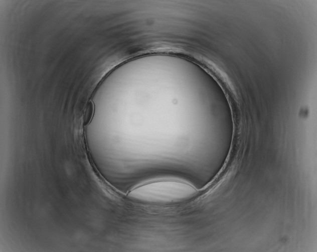 X0000100861281200806200828