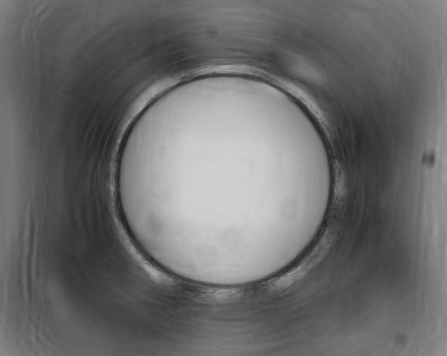 X0000100861282200806200828