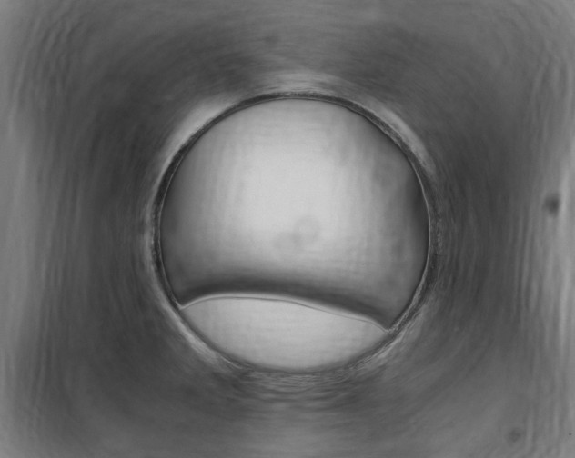 X0000100861285200806200828