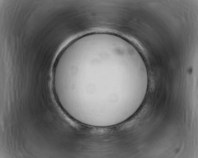 X0000100861286200806200828