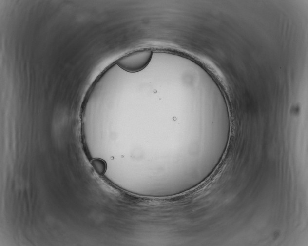 X0000100861287200806200828